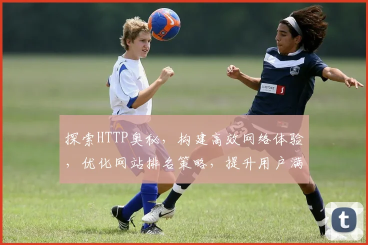 探索HTTP奥秘，构建高效网络体验，优化网站排名策略，提升用户满意度