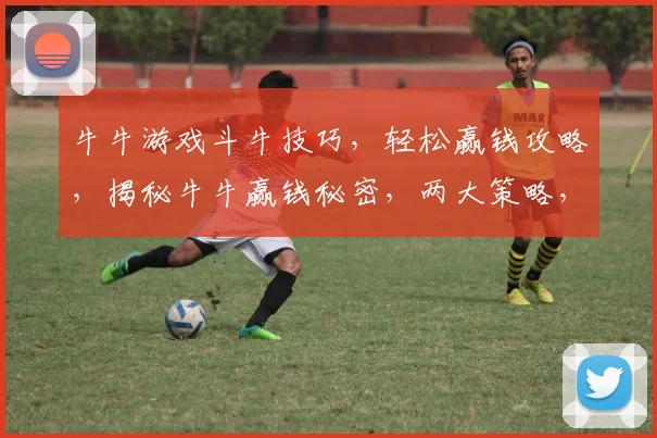 牛牛游戏斗牛技巧，轻松赢钱攻略，揭秘牛牛赢钱秘密，两大策略，助你一臂之力