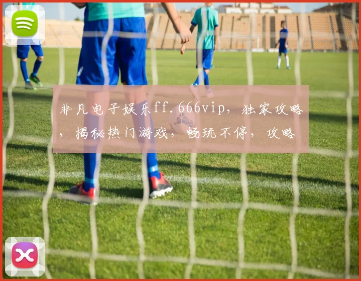 非凡电子娱乐ff.666vip，独家攻略，揭秘热门游戏，畅玩不停，攻略分享，必看