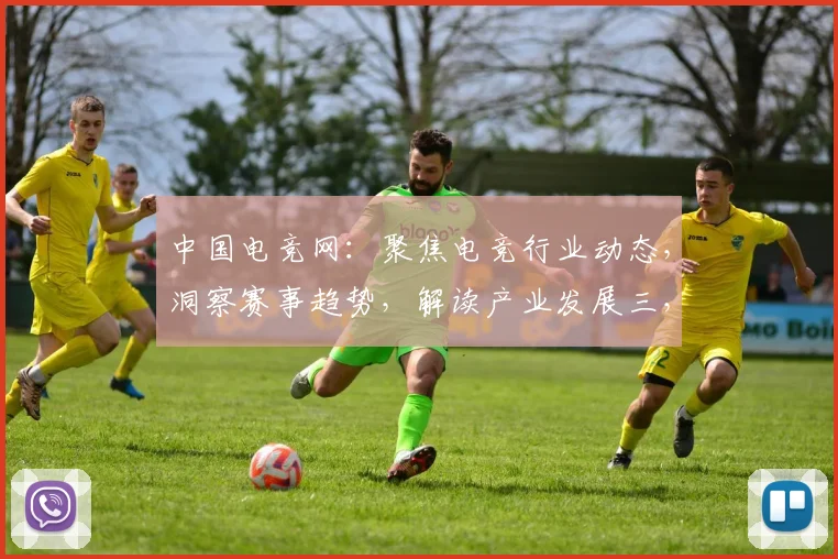 中国电竞网：聚焦电竞行业动态，洞察赛事趋势，解读产业发展三，三，三