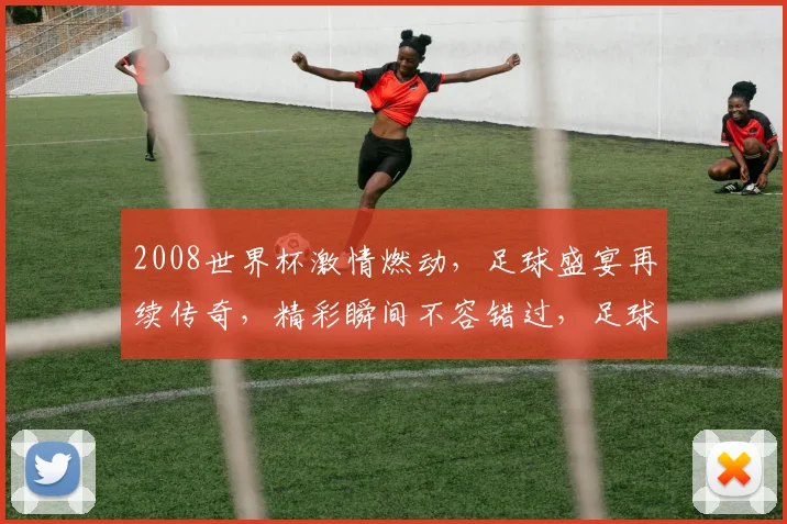 2008世界杯激情燃动，足球盛宴再续传奇，精彩瞬间不容错过，足球迷必看